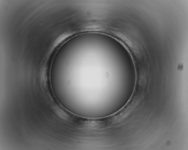 X0000102831458200808181313