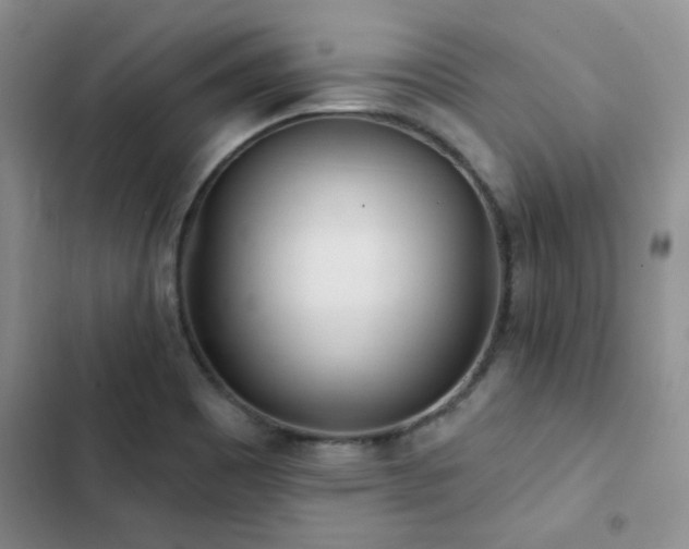 X0000102831465200808181312