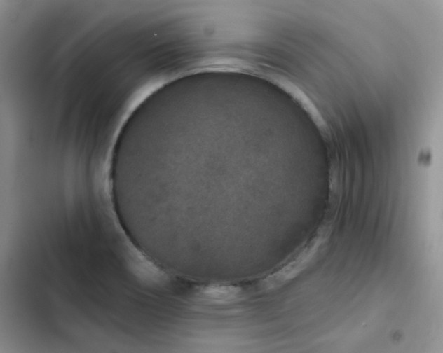 X0000102831466200808181312