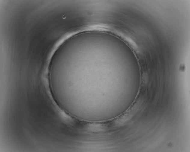 X0000102831470200808181312