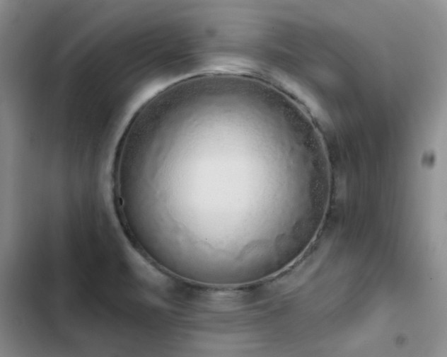 X0000102831471200808181312