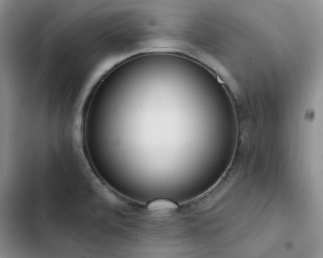 X0000102831472200808181312