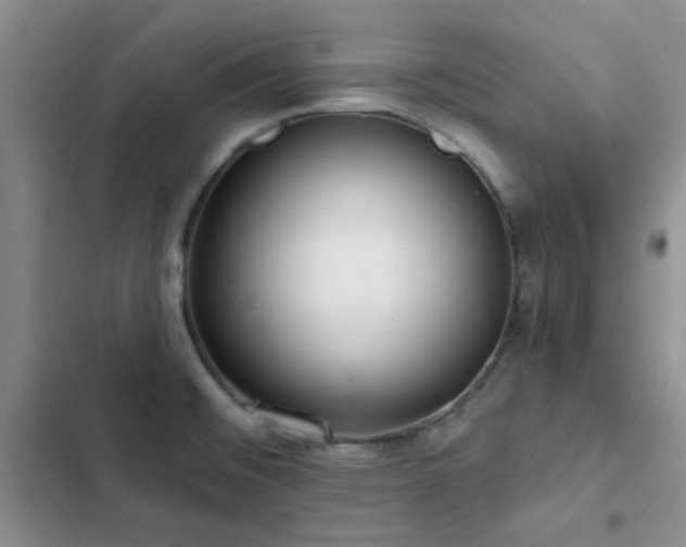 X0000102831476200808181312