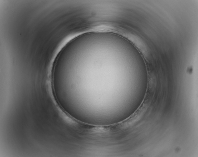 X0000102831478200808181312