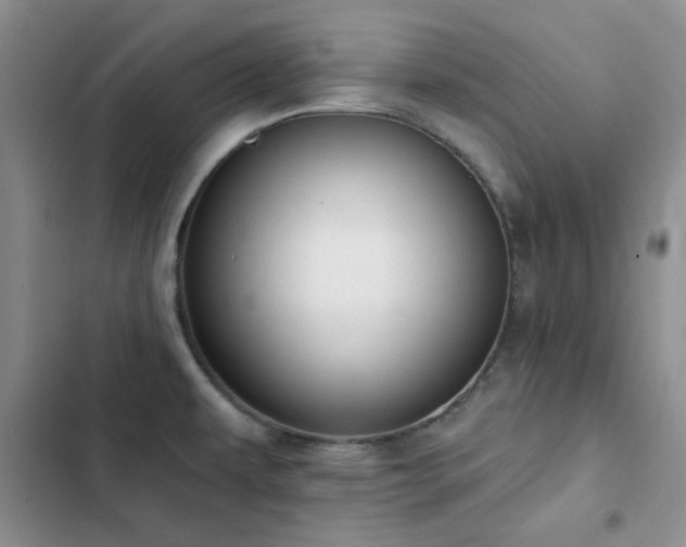 X0000102831479200808181312