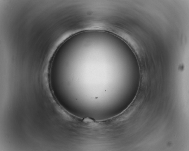 X0000102831480200808181312