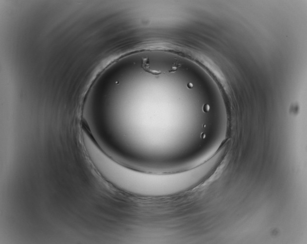 X0000102831481200808181312