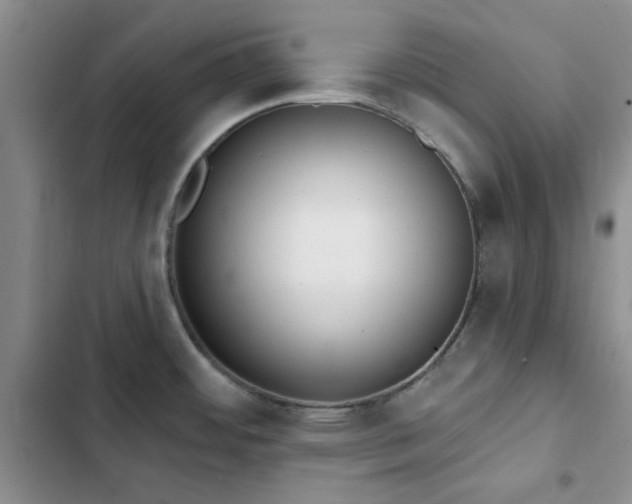 X0000102831484200808181312