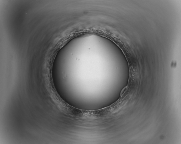 X0000102831489200808181311