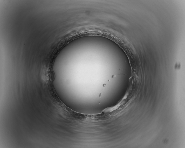 X0000102831490200808181311