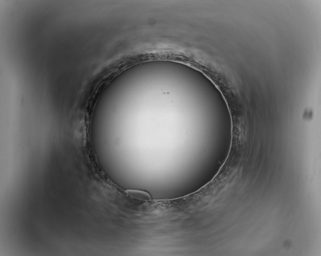 X0000102831493200808181311