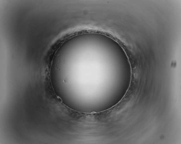 X0000102831495200808181311