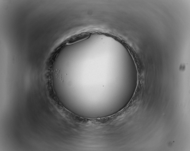 X0000102831496200808181311
