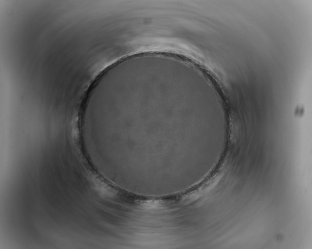 X0000102831497200808181311