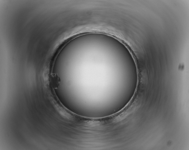 X0000102831499200808181311