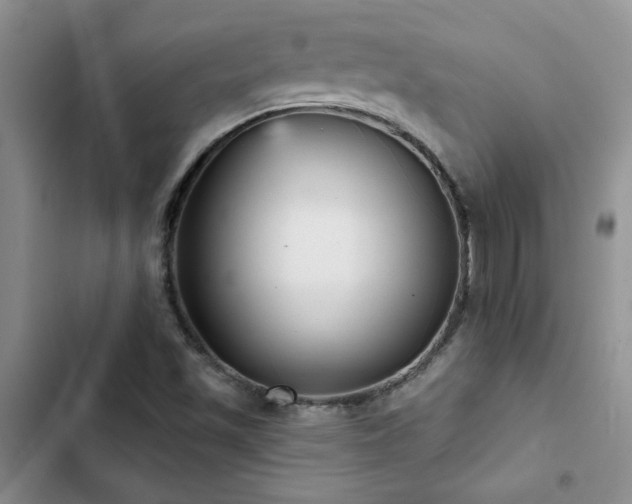 X0000102831501200808181311