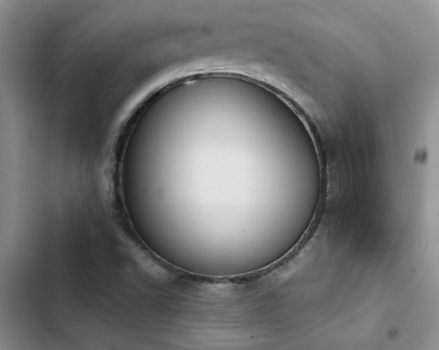 X0000102831502200808181311