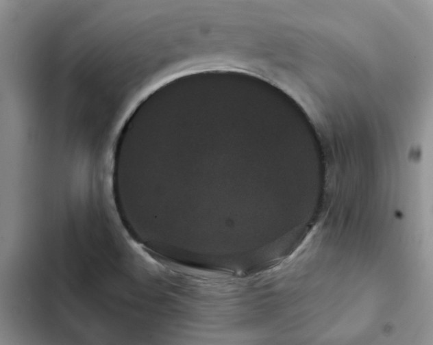X0000102831508200808181311