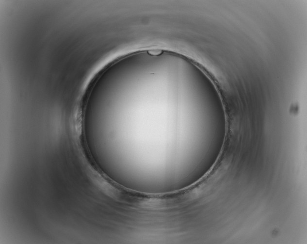 X0000102831510200808181311