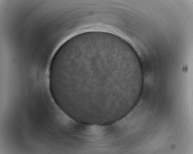 X0000102831514200808181311