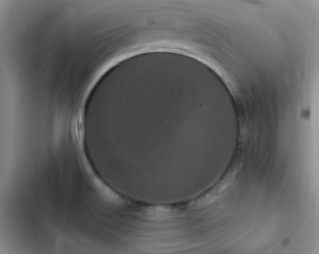 X0000102831515200808181311