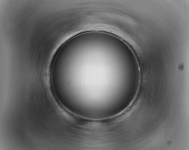 X0000102831517200808181311
