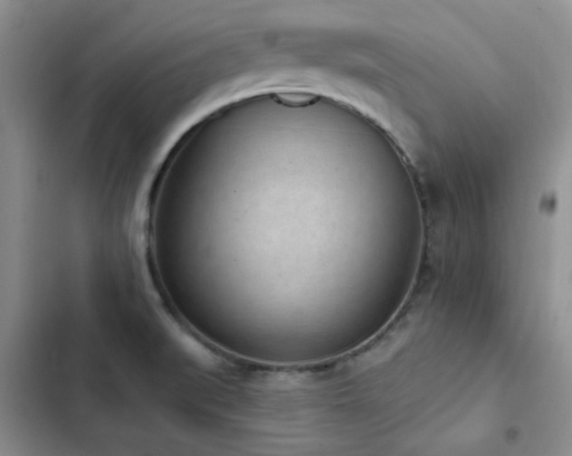 X0000102831519200808181311
