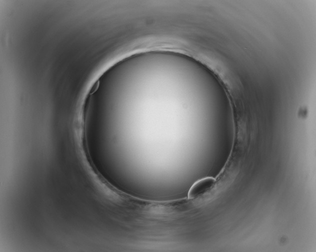 X0000102831520200808181312