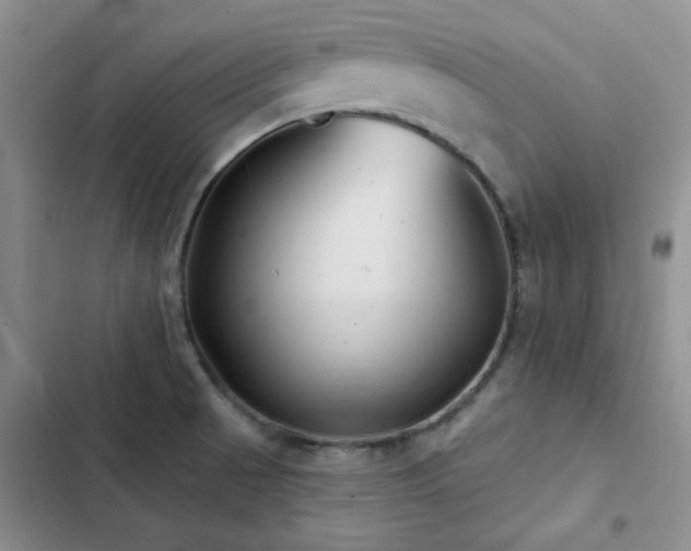 X0000102831521200808181312