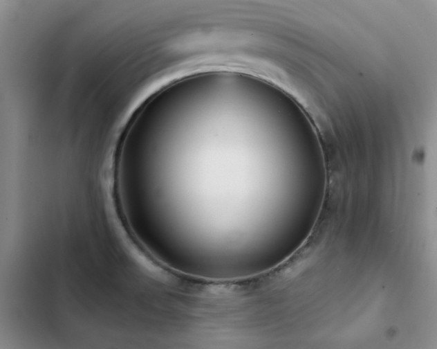 X0000102831523200808181312