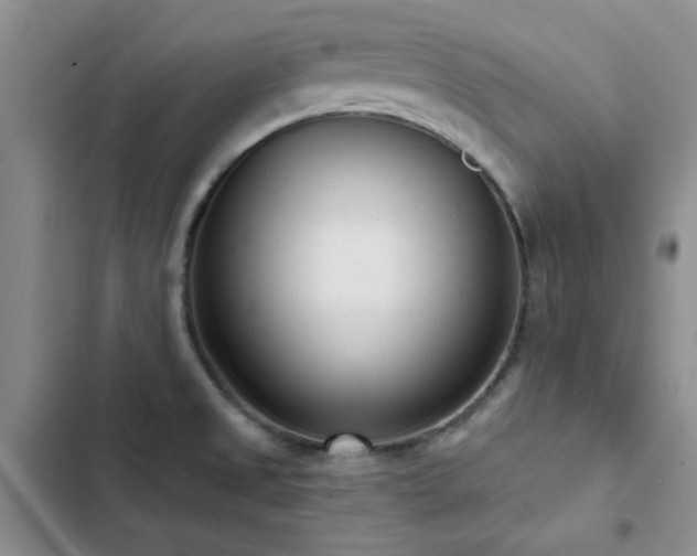 X0000102831525200808181312