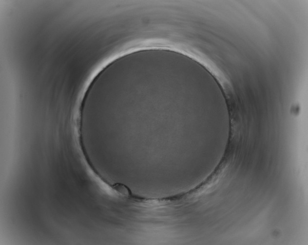 X0000102831527200808181312