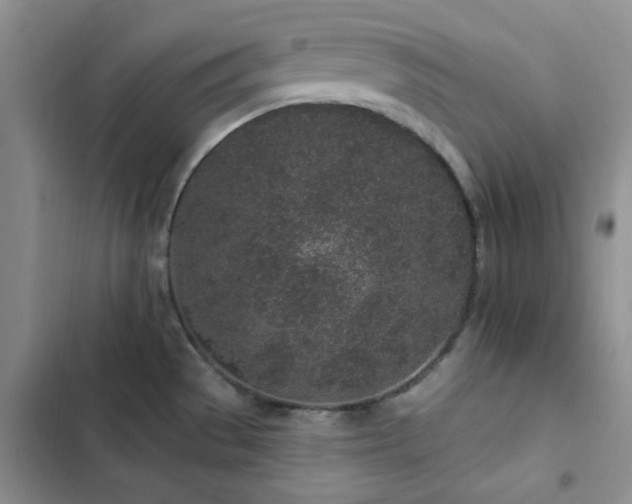 X0000102831529200808181312