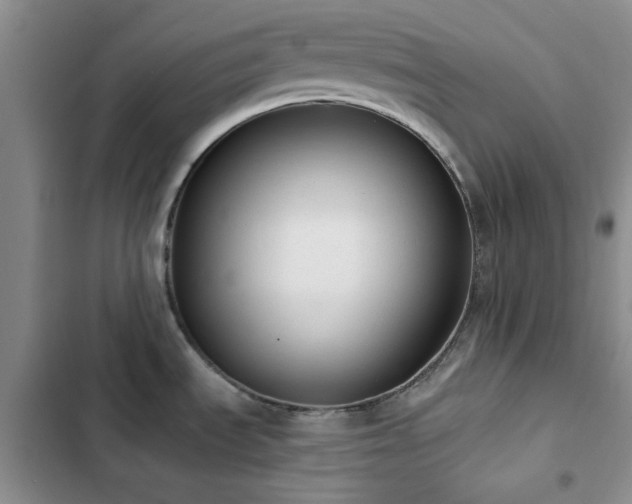 X0000102831535200808181312