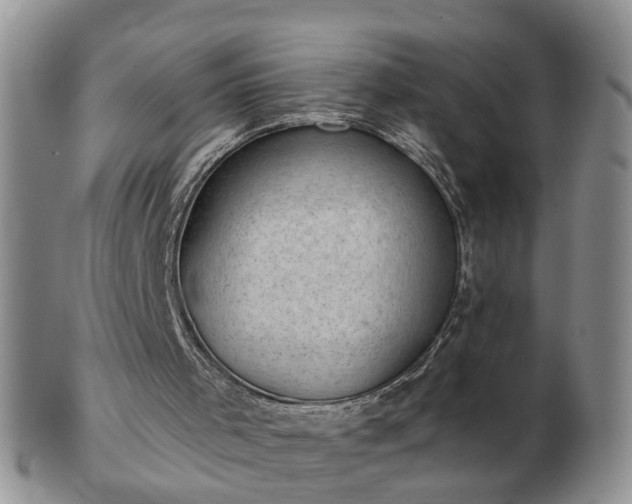 X0000102830001200808251144