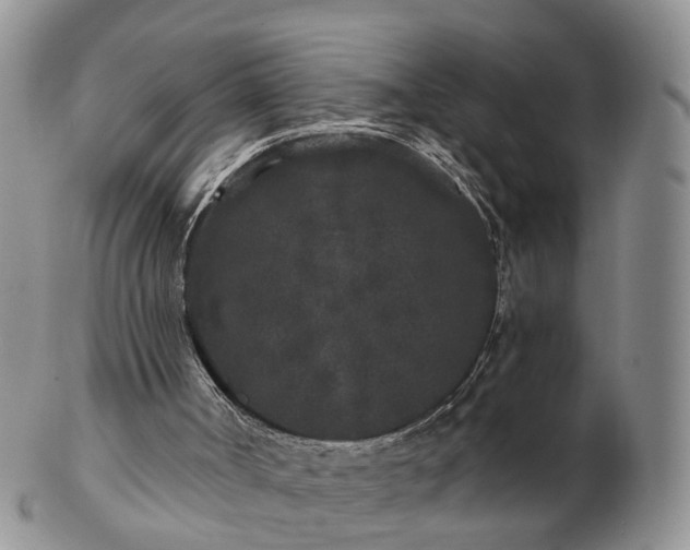 X0000102830002200808251144