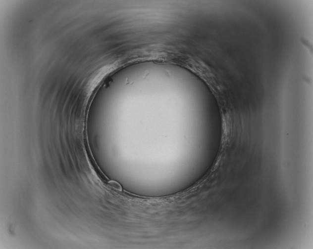 X0000102830003200808251144