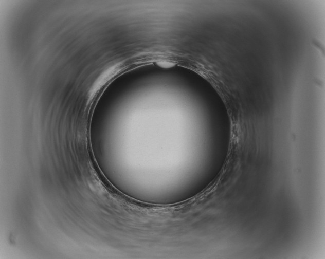 X0000102830004200808251144