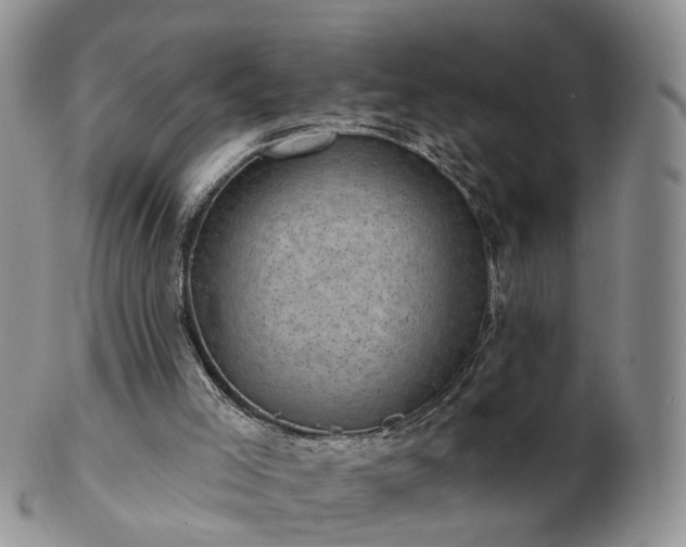 X0000102830005200808251144