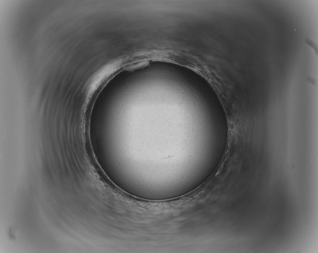 X0000102830006200808251144