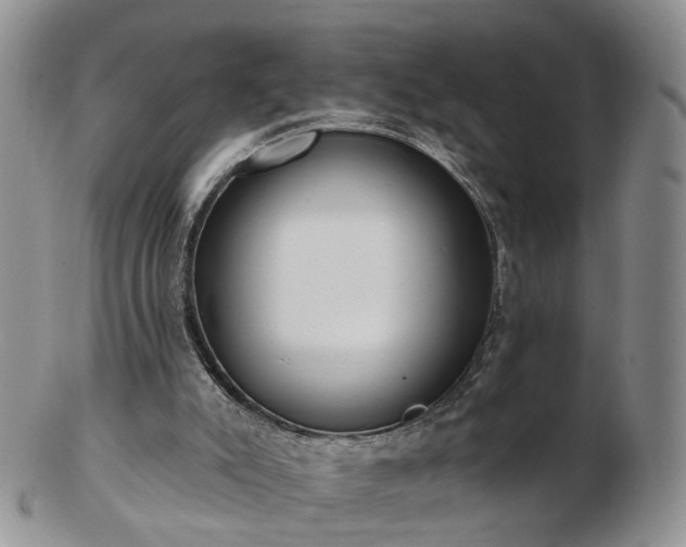 X0000102830007200808251144