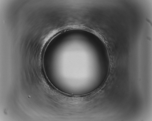 X0000102830008200808251144