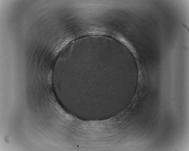 X0000102830009200808251144