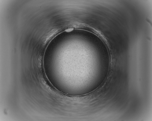 X0000102830010200808251144