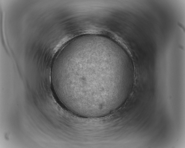 X0000102830011200808251144