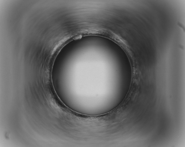 X0000102830012200808251144