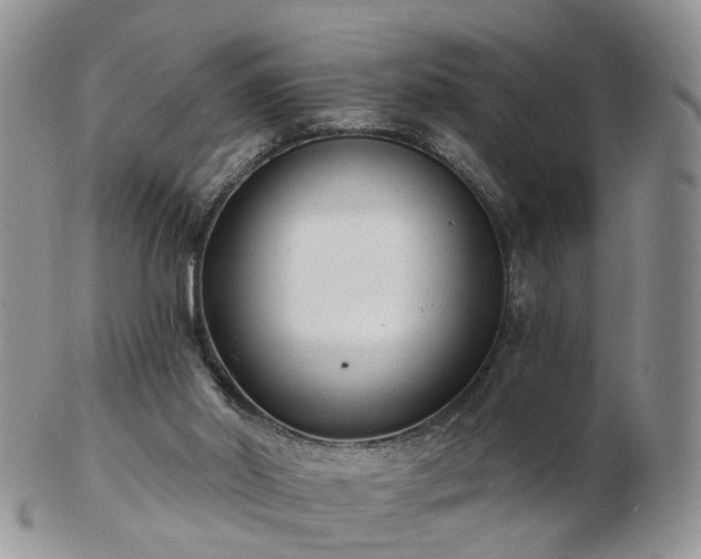 X0000102830014200808251144