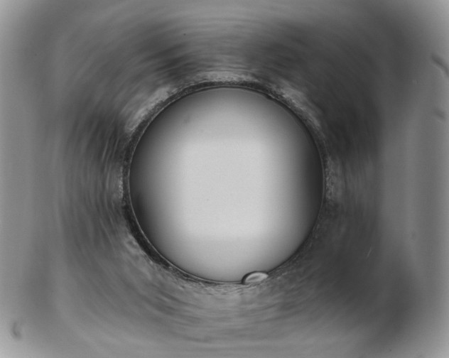 X0000102830015200808251144