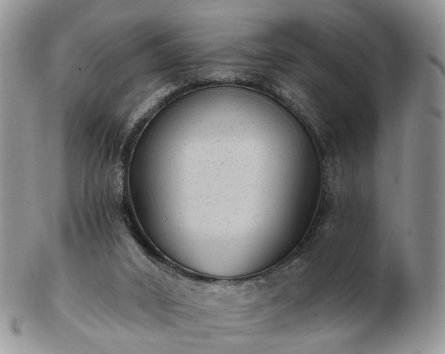 X0000102830016200808251144