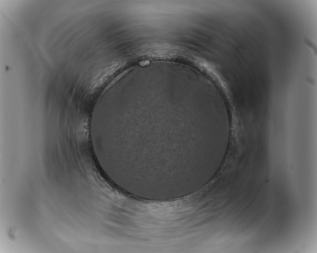 X0000102830017200808251144